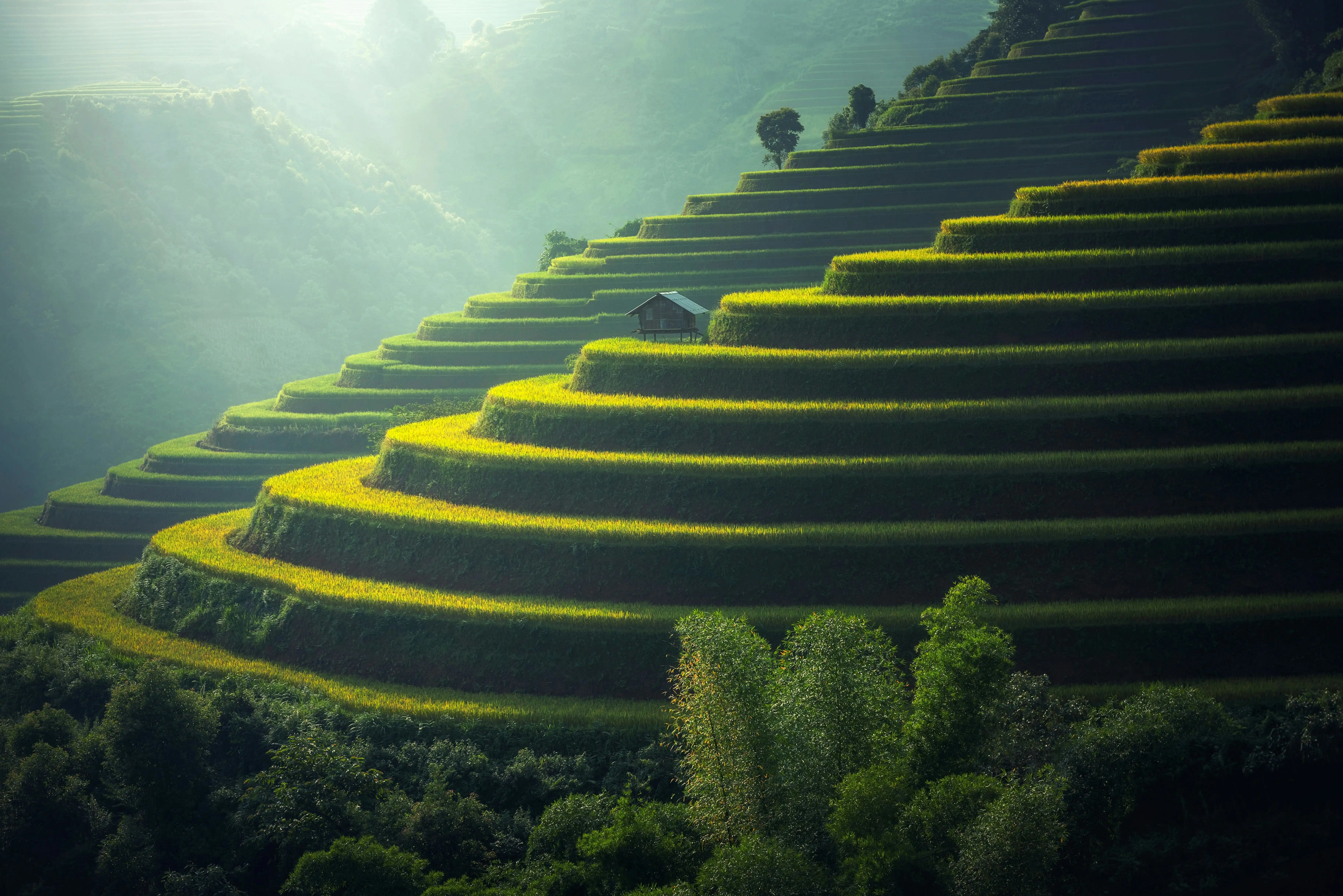 Gallery photo /landscape/2.webp